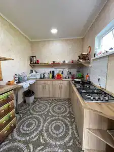 Эвкалипт - 9