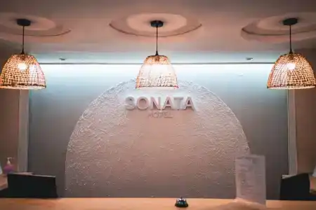 Соната - 4