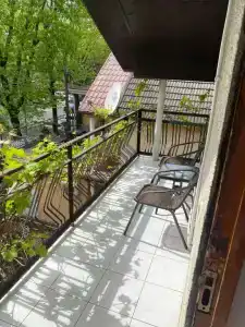 Пальма на Ленина - 2