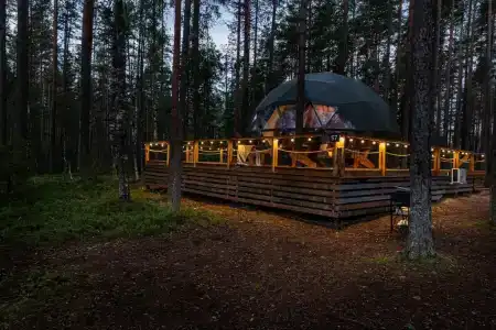 Forest Lake - 14