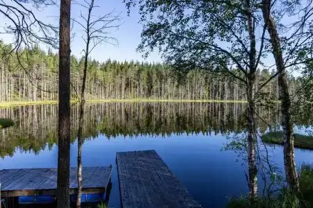 Forest Lake - 16