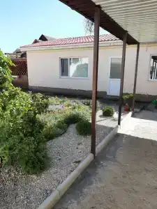 Кипарис - 3