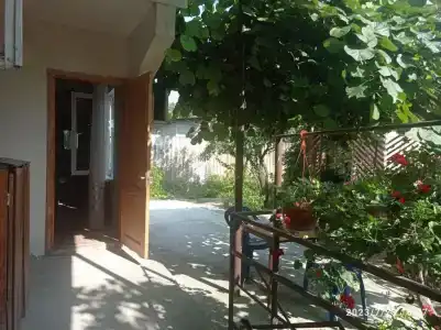 Рассвет - 9