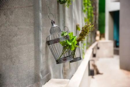 Brosse Garden - 11