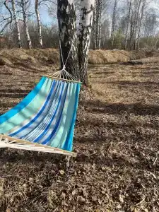 WhiteWood - 8
