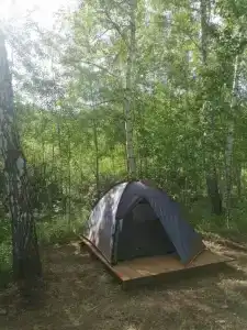 WhiteWood - 10
