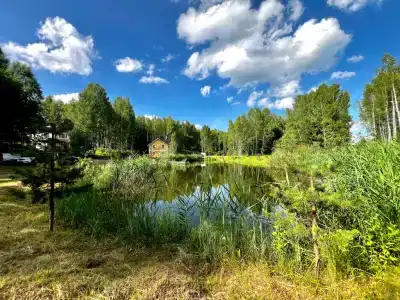 Уютный загородный коттедж в Андросово - 17