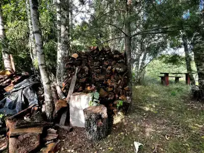 Уютный загородный коттедж в Андросово - 19