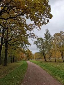 в Александровской - 24