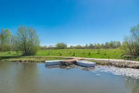 Мурашики - 5