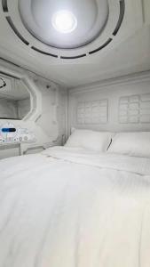Capsula - 12