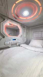 Capsula - 14