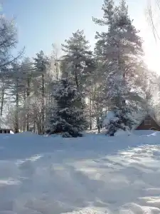 Эдельвейс - 2