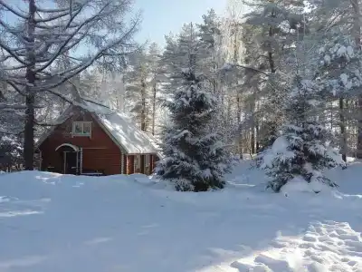 Эдельвейс - 1