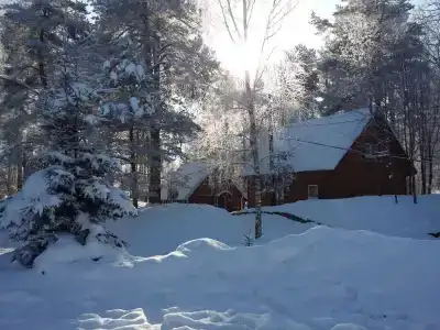 Эдельвейс - 6