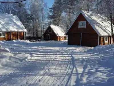 Эдельвейс - 5
