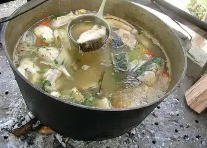 Таежные дачи - 68