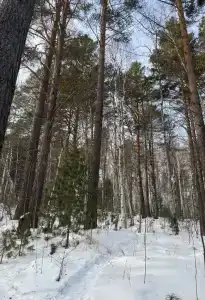 Байкальский край - 4