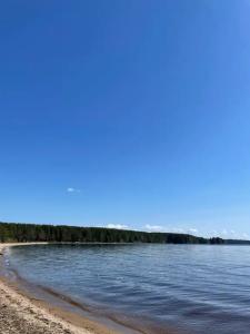 Моя Медвежка - 1