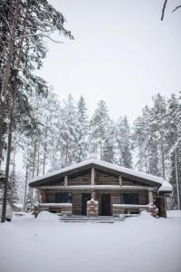 Моя Медвежка - 10
