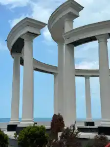 Полет чайки - 20