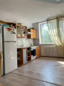 Cats Beds - 19