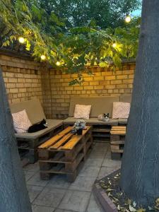 Cats Beds - 23