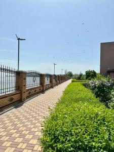 Diamond Park - 1
