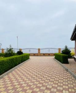 Diamond Park - 11