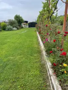 Eco House Ninelle - 3