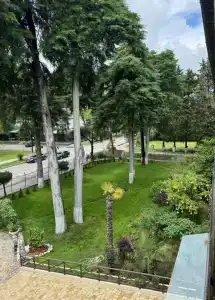 Пицунда - 16