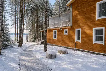 Бурая лиса - 3