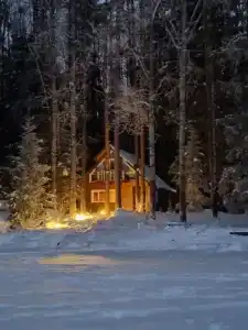 Бурая лиса - 10
