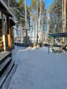 Бурая лиса - 13