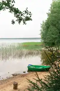 Бурая лиса - 23