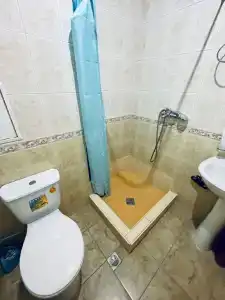 Орхидея - 2