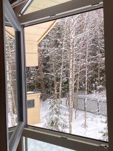 Дом из бруса в лесу с баней и чаном - 37