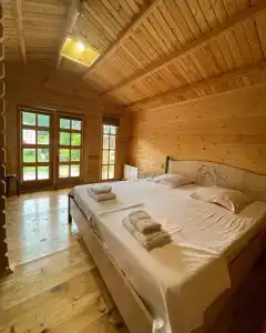 Апсар - 1