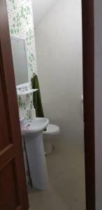 Континент - 16