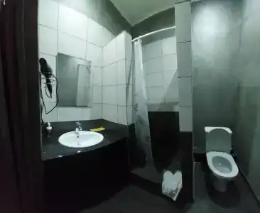 Диана - 8
