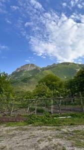 У Каньона - 55