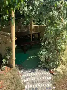 Сандро - 11