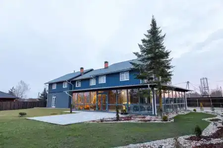 Мята - 1