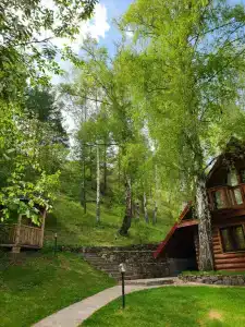 Каменный цветок - 11