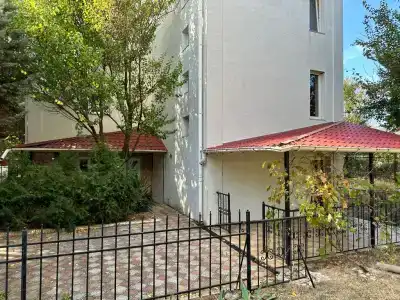 Лев - 32