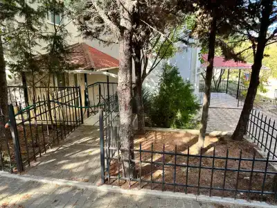 Лев - 33