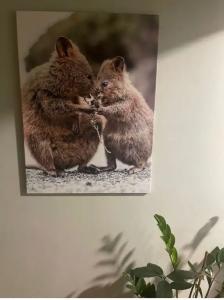Мини-отель Quokka - 17