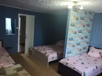 Гостевой дом у Галины - 13