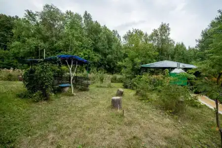 Дубрава - 54