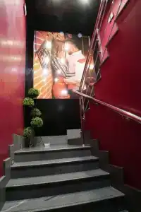 Ковчег - 1